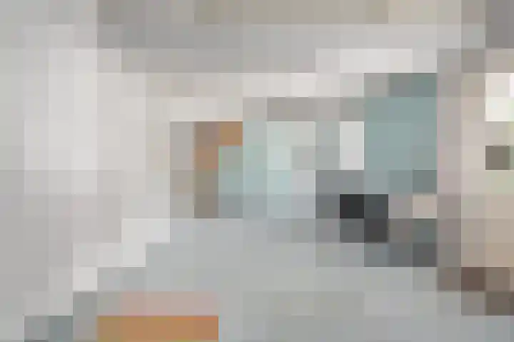 Wijbosscheweg 99 Schijndel thumbnail 37