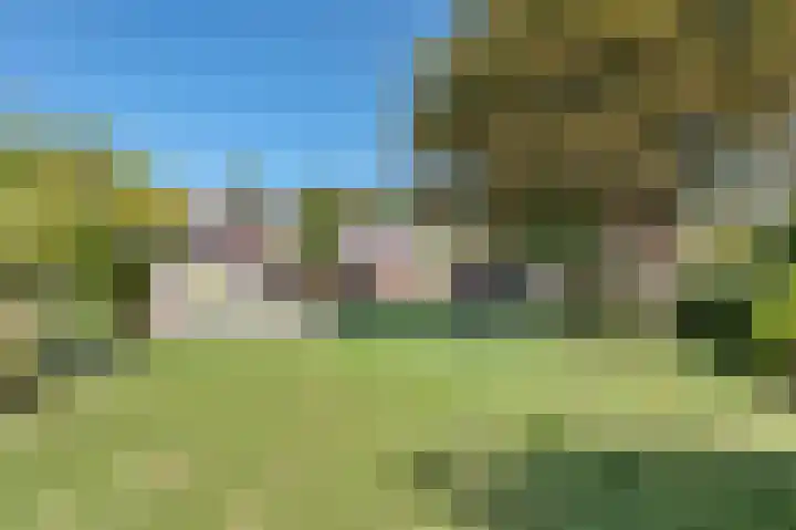 Wijbosscheweg 99 Schijndel thumbnail 4