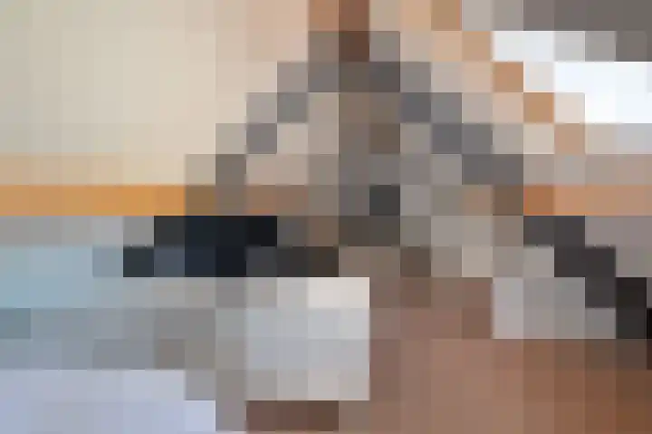 Wijbosscheweg 99 Schijndel thumbnail 44