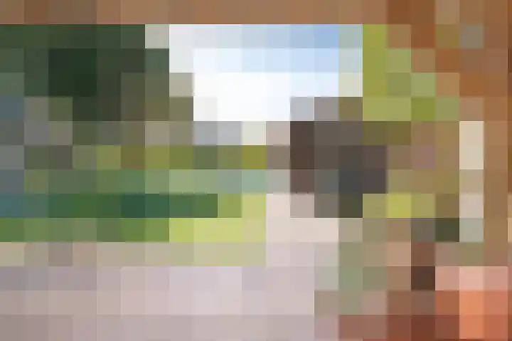 Wijbosscheweg 99 Schijndel thumbnail 46