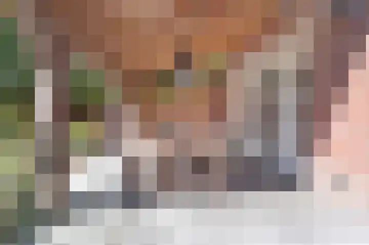 Wijbosscheweg 99 Schijndel thumbnail 47