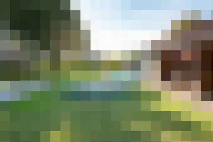 Wijbosscheweg 99 Schijndel thumbnail 48