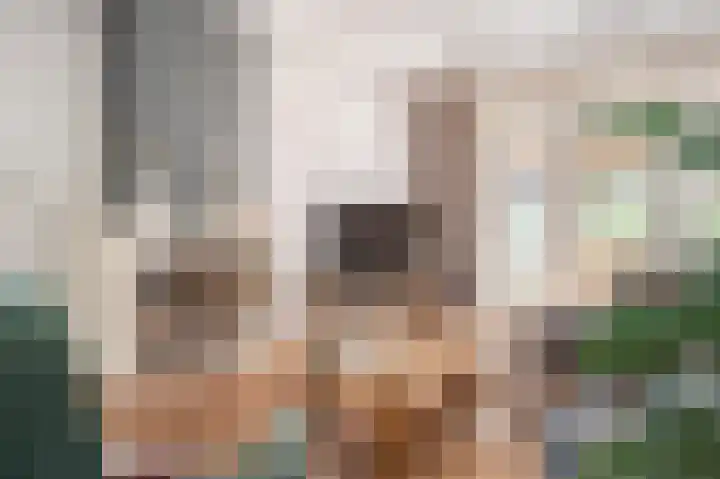 Wijbosscheweg 99 Schijndel thumbnail 7