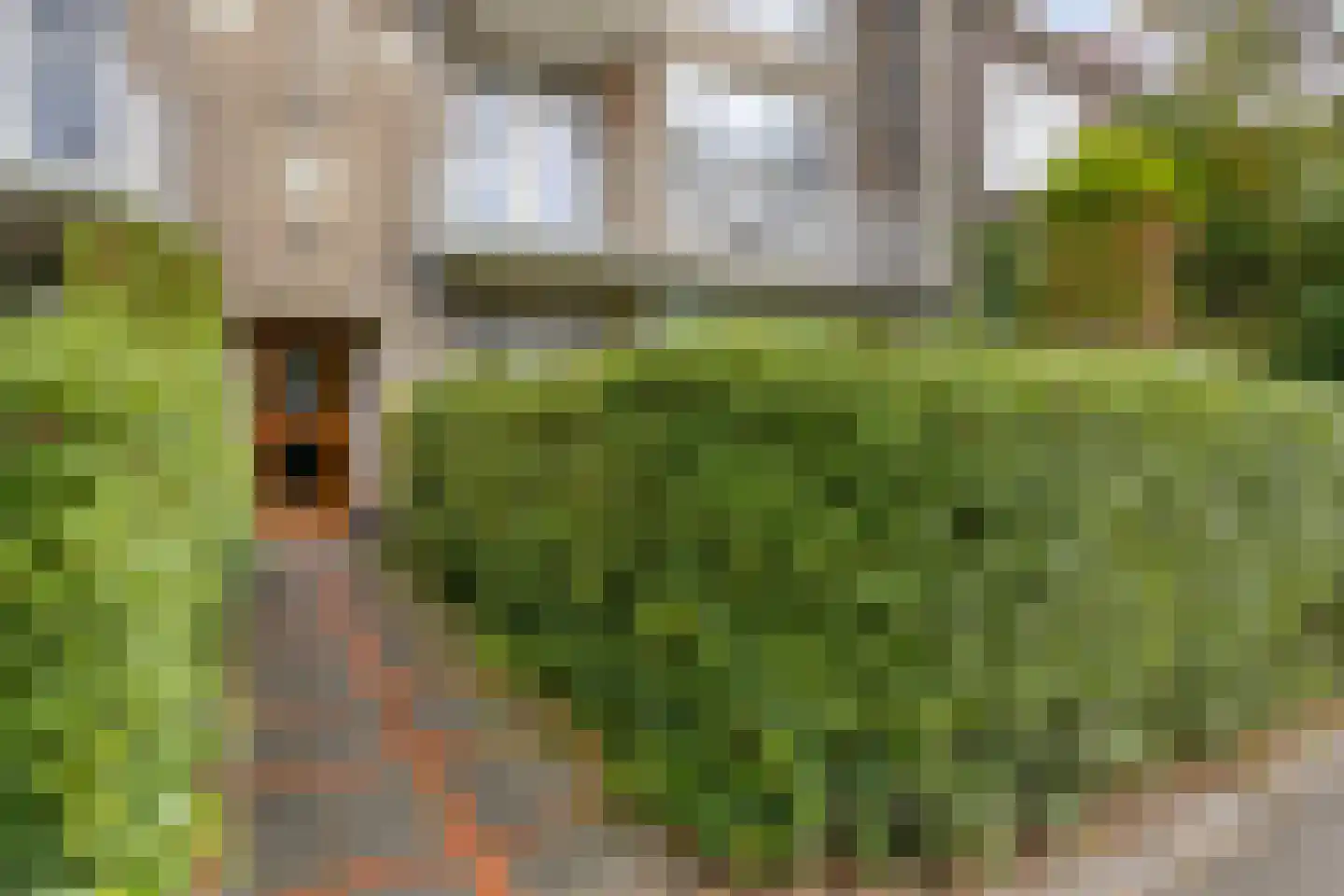 Wijbrand de Geeststraat 4 Leeuwarden thumbnail 4