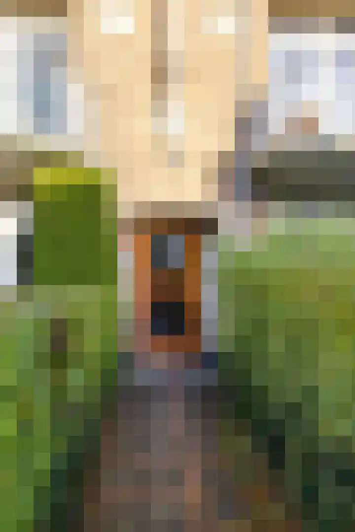 Wijbrand de Geeststraat 6 b Leeuwarden thumbnail 9