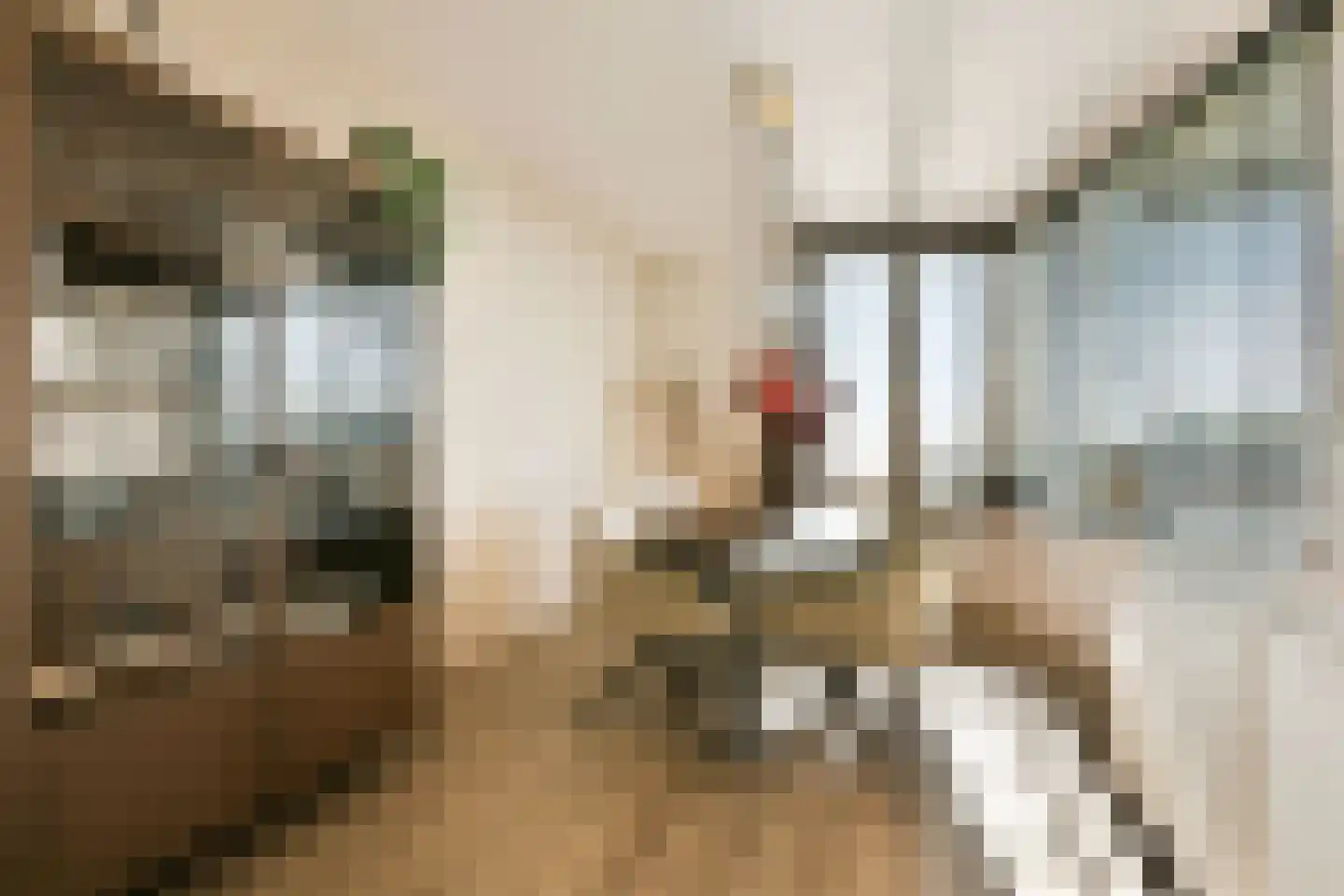 Wijckermolen 146 Beverwijk thumbnail 6