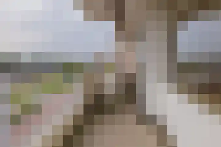 Wijckermolen 192 Beverwijk thumbnail 11