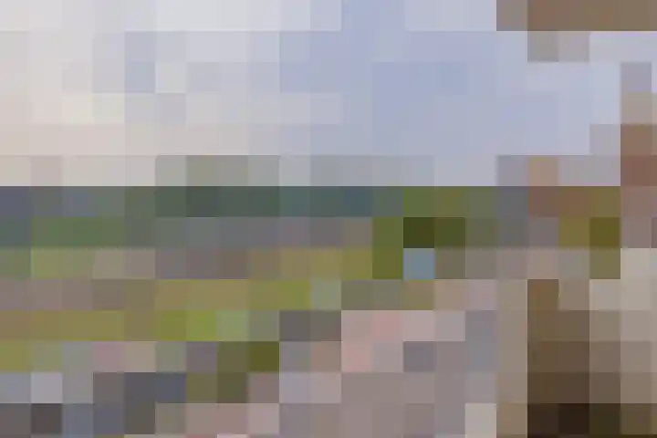 Wijckermolen 192 Beverwijk thumbnail 12