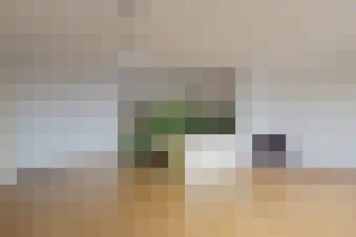 Wijckermolen 192 Beverwijk thumbnail 7