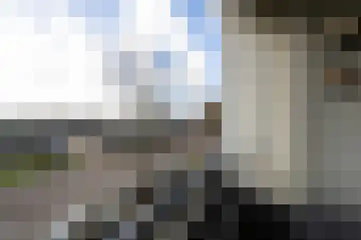 Wijckermolen 44 Beverwijk thumbnail 23