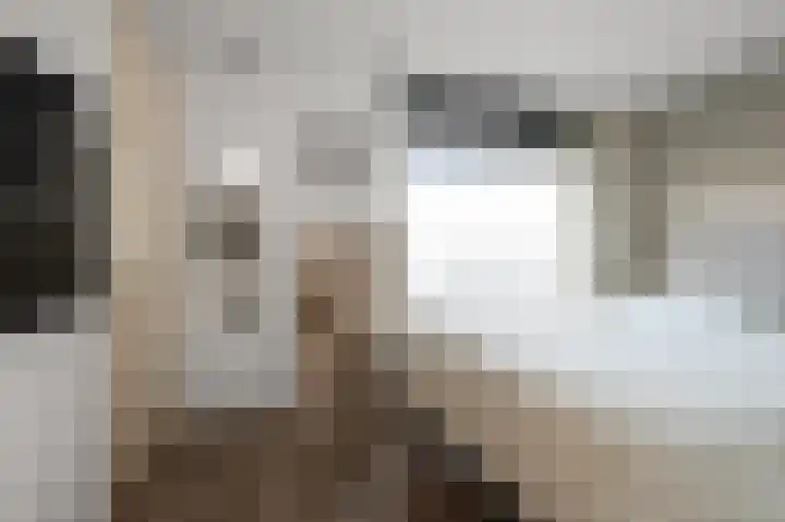 Wijckermolen 44 Beverwijk thumbnail 33