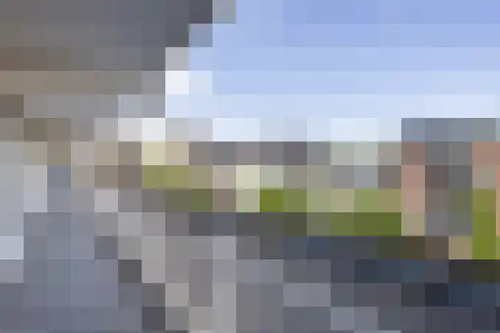 Wijckermolen 52 Beverwijk thumbnail 23