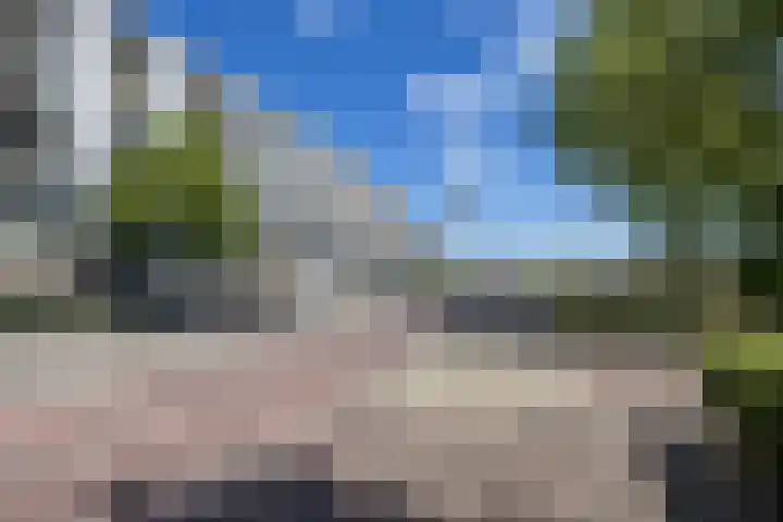 Wijckermolen 52 Beverwijk thumbnail 31