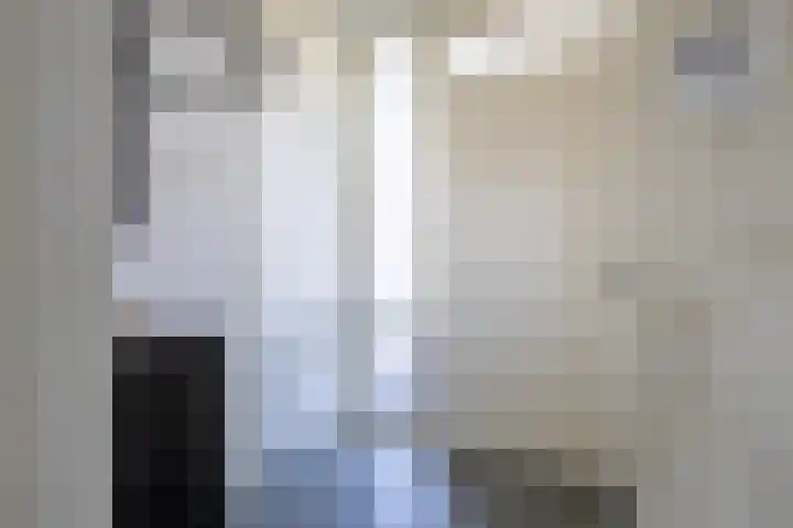 Wijckermolen 52 Beverwijk thumbnail 4