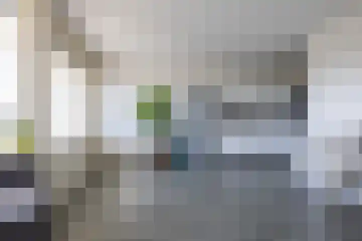 Wijckermolen 52 Beverwijk thumbnail 7