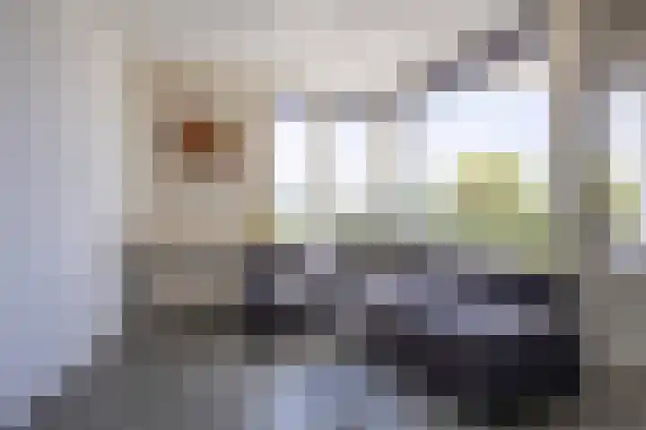 Wijckermolen 52 Beverwijk thumbnail 8