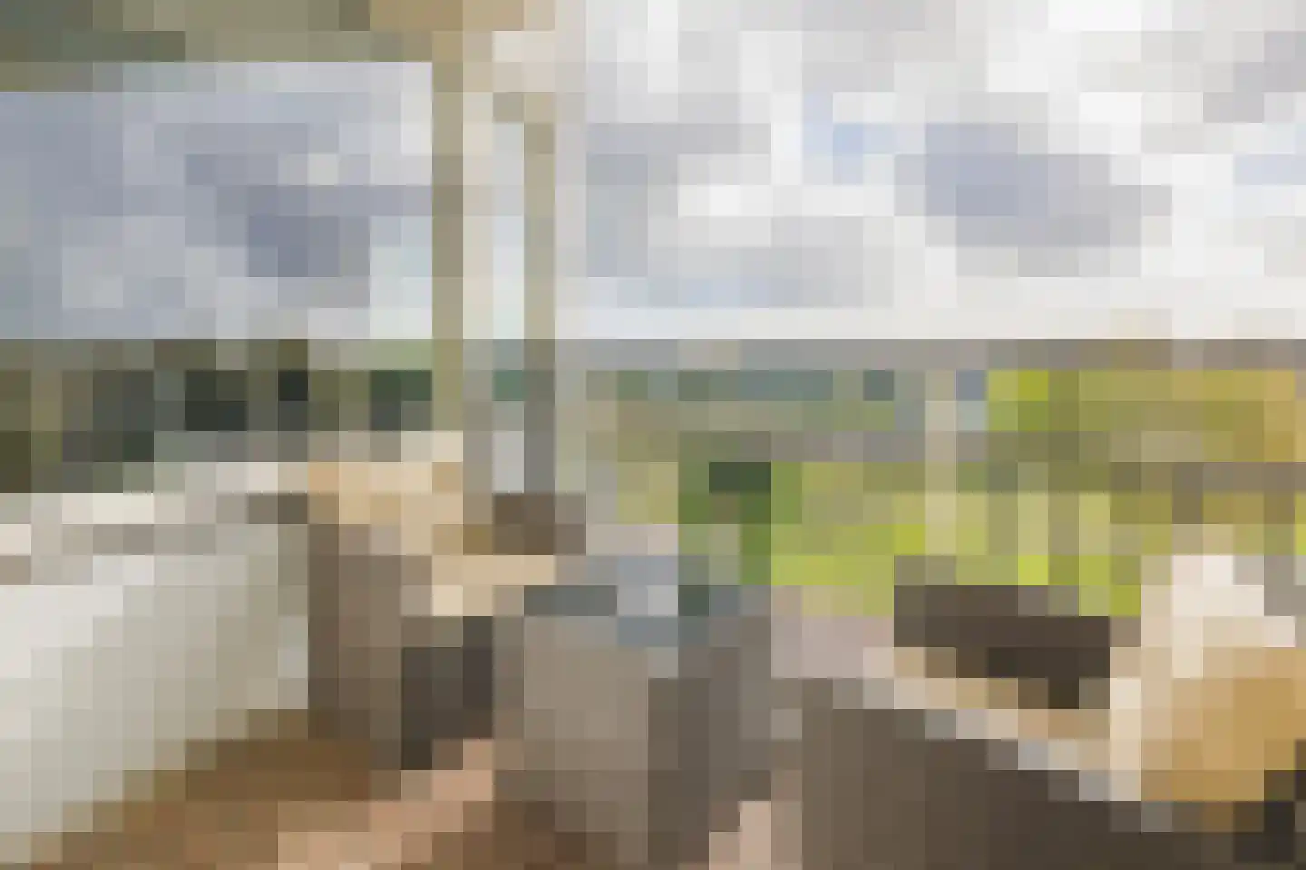 Wijckermolen 94 Beverwijk thumbnail 30