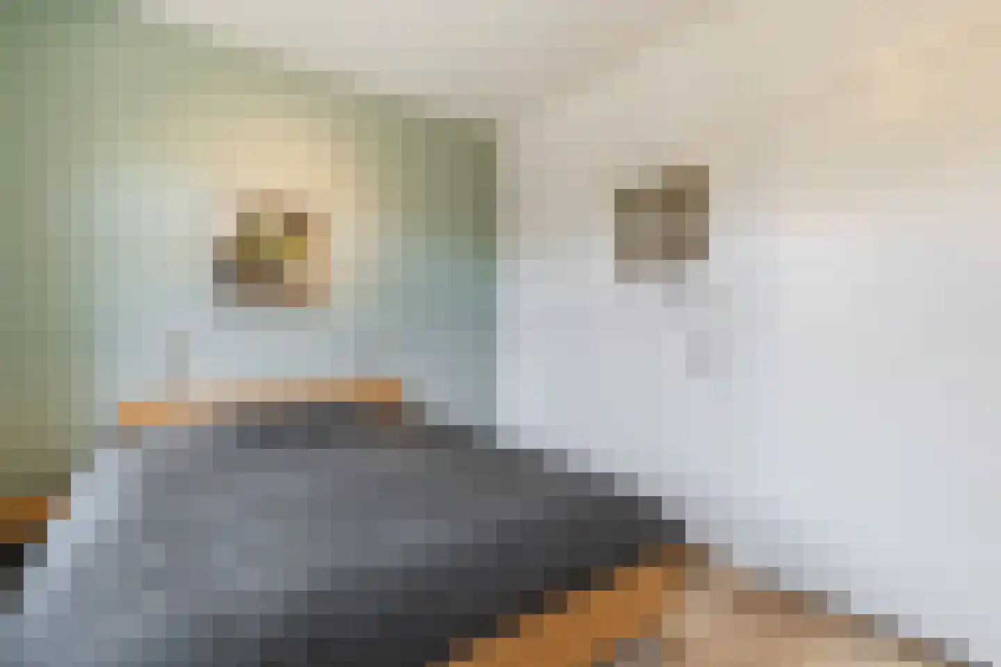 Wijde Doelen 29 Utrecht thumbnail 10