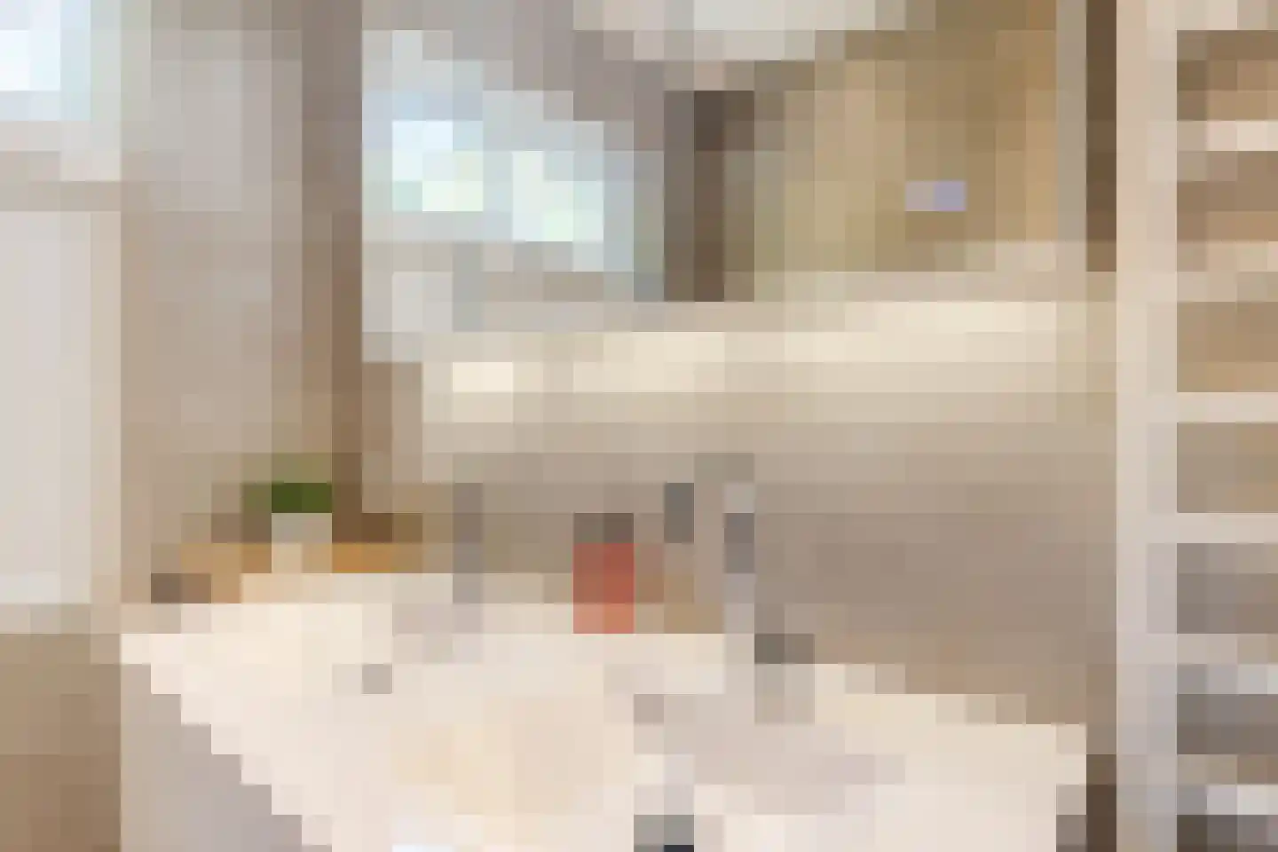 Wijde Doelen 29 Utrecht thumbnail 15