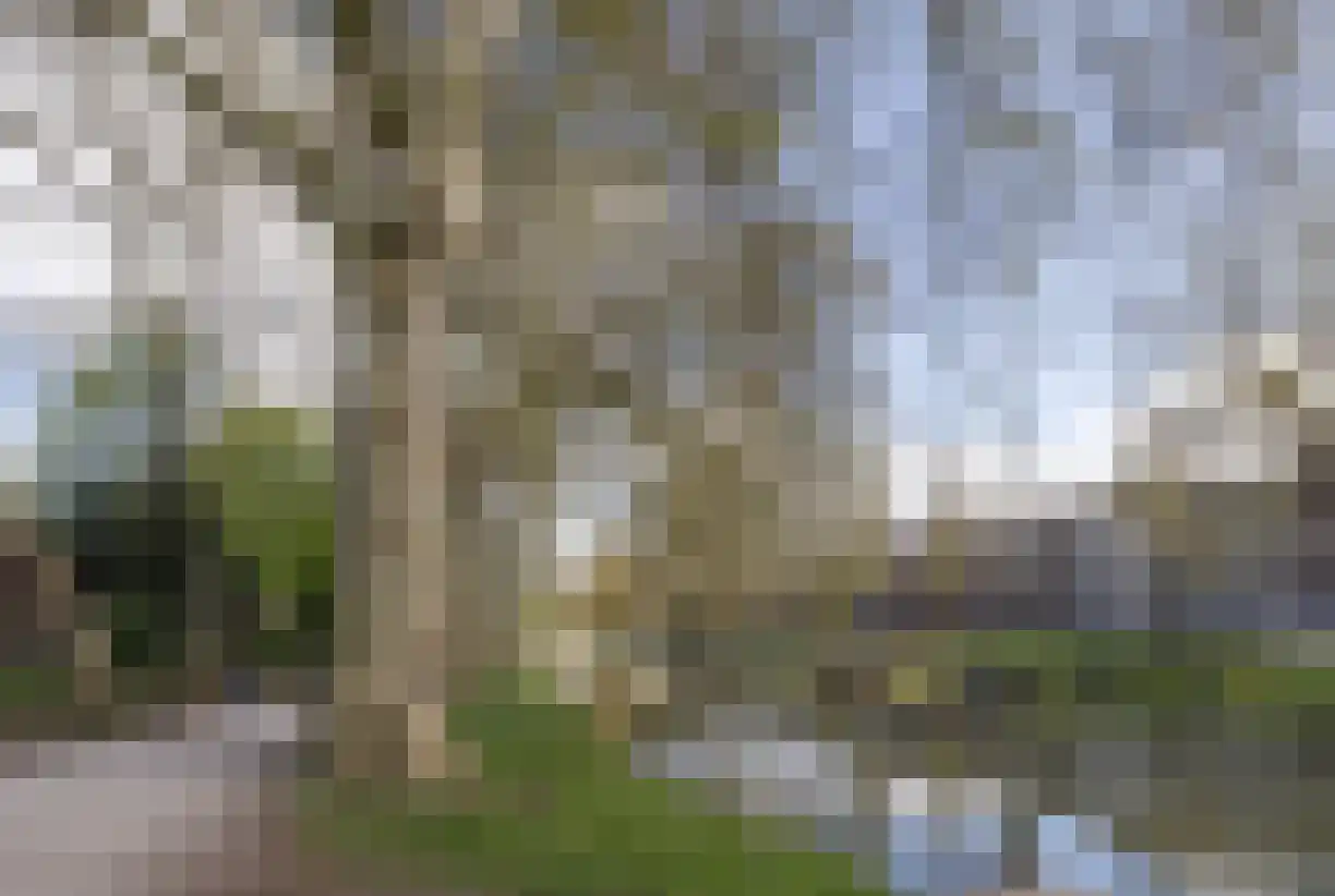 Wijde Doelen 29 Utrecht thumbnail 25