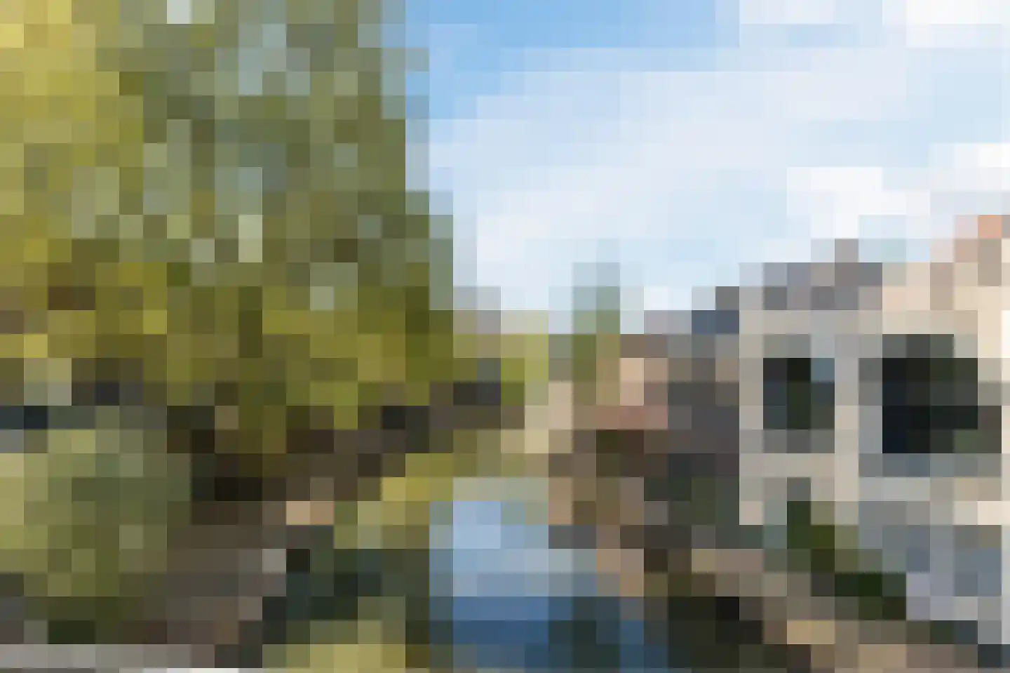 Wijde Doelen 29 Utrecht thumbnail 27