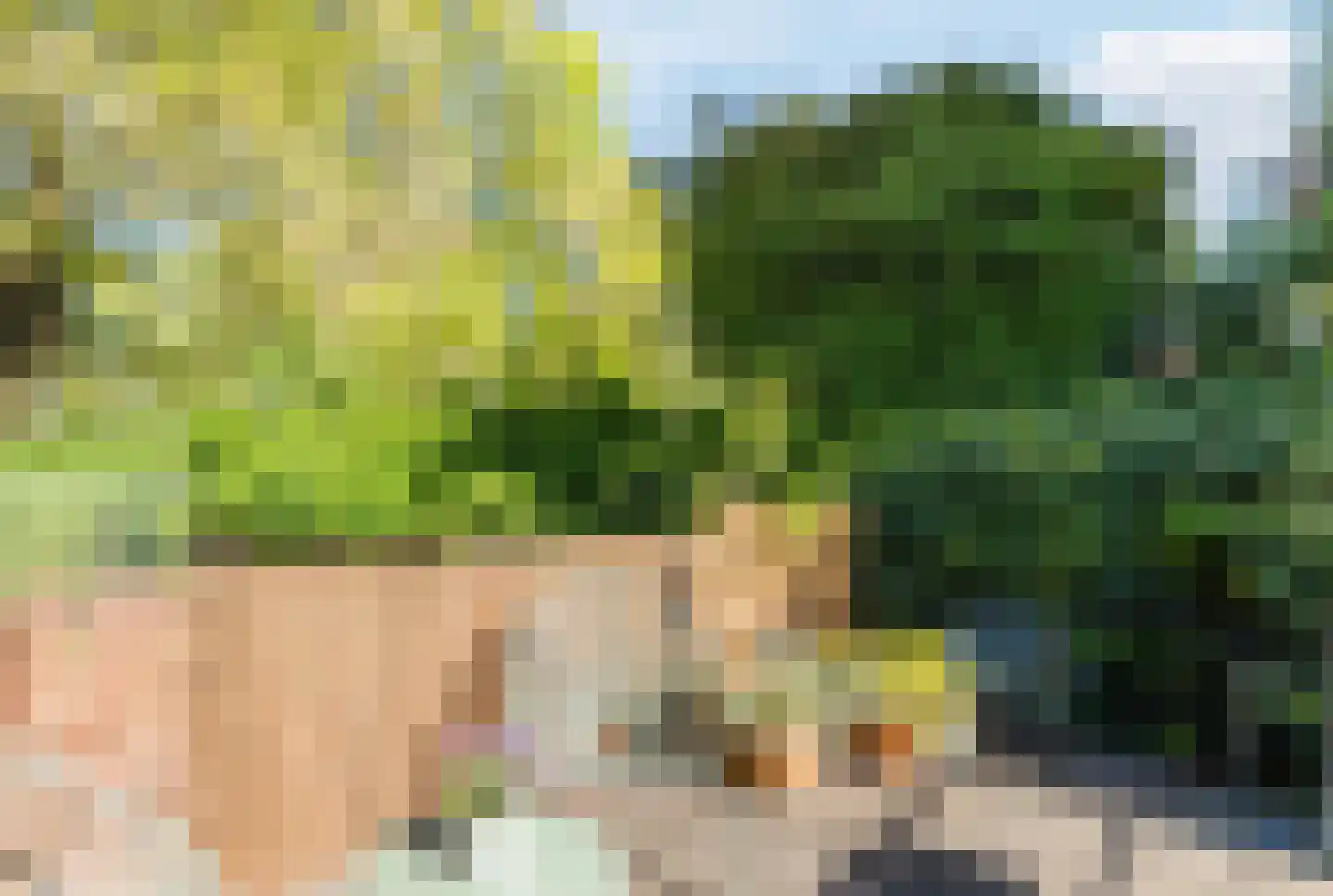 Wijde Doelen 29 Utrecht thumbnail 4