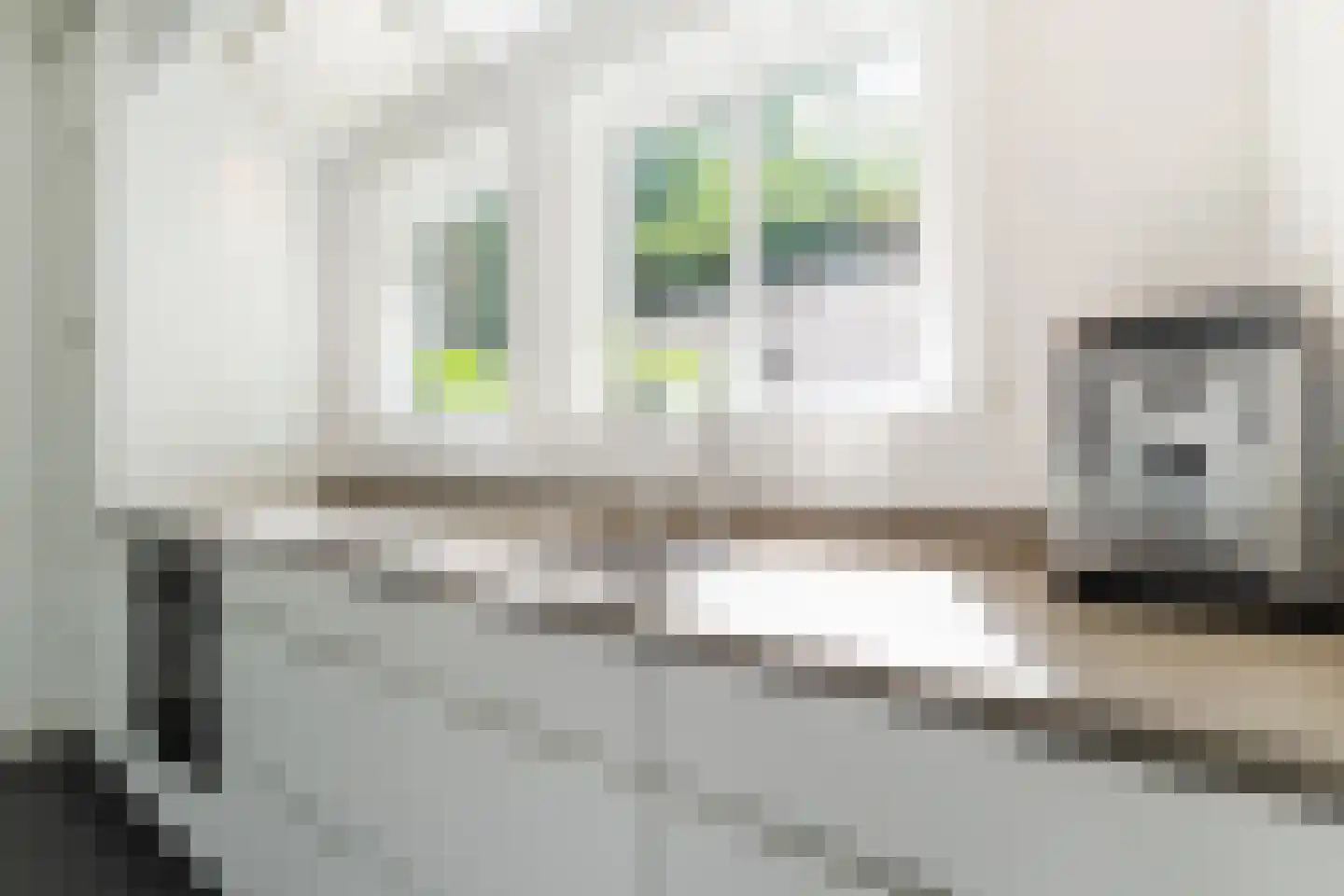 Wijde Doelen 29 Utrecht thumbnail 6