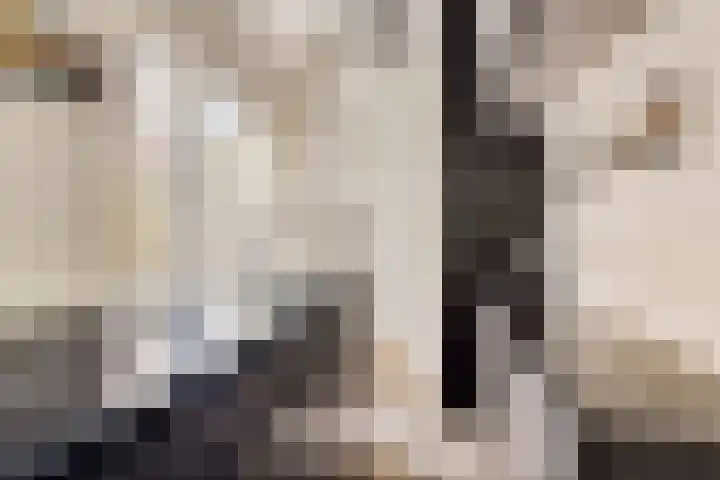 Wijde Geldelozepad 2 ZW Haarlem thumbnail 14