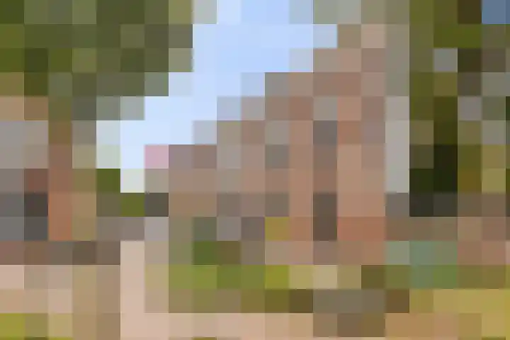 Wijde Geldelozepad 2 ZW Haarlem thumbnail 28