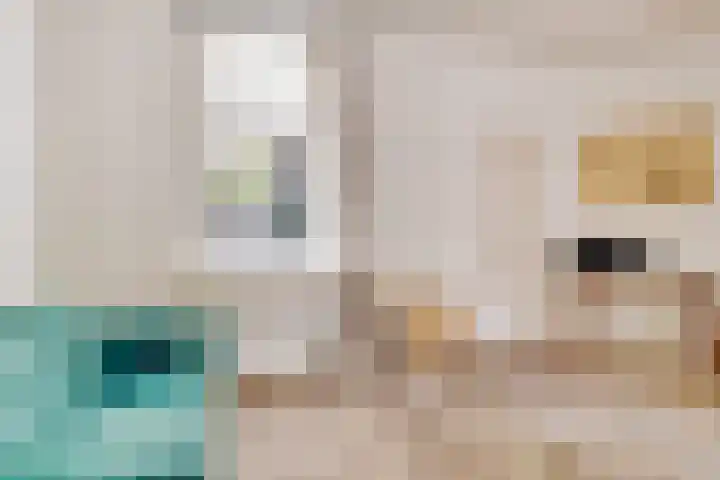 Wijde Geldelozepad 2 ZW Haarlem thumbnail 7