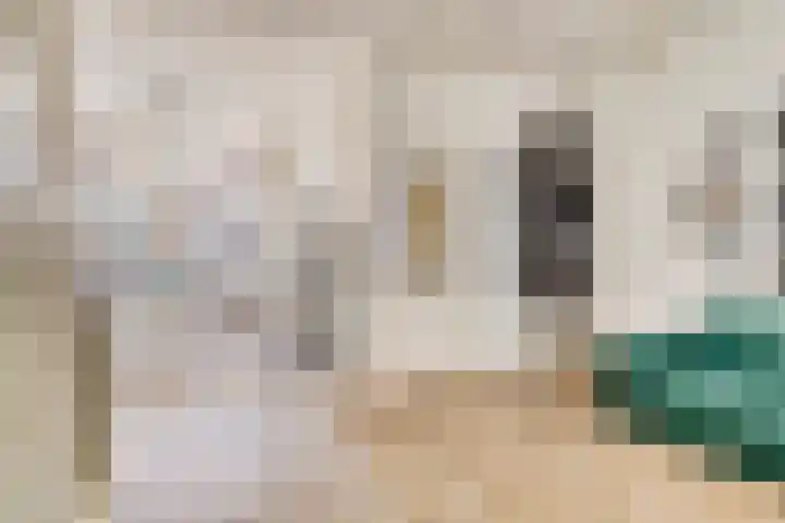 Wijde Geldelozepad 2 ZW Haarlem thumbnail 8