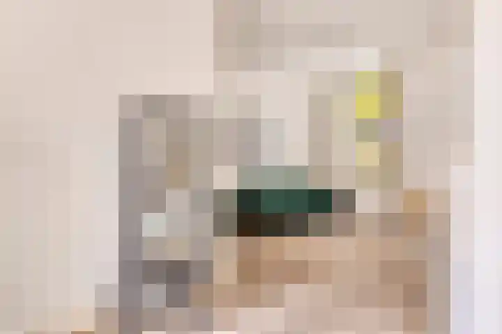 Wijde Geldelozepad 2 ZW Haarlem thumbnail 9