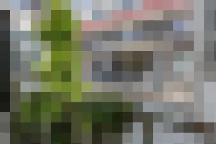 Wijde Geldelozepad 33 A Haarlem thumbnail 19