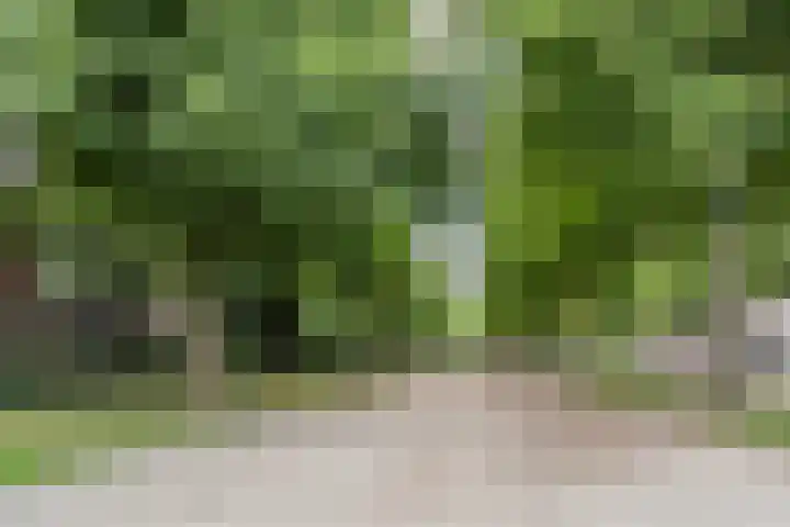 Wijde Geldelozepad 33 A Haarlem thumbnail 25