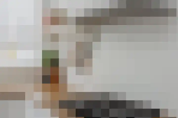 Wijde Geldelozepad 33 A Haarlem thumbnail 9