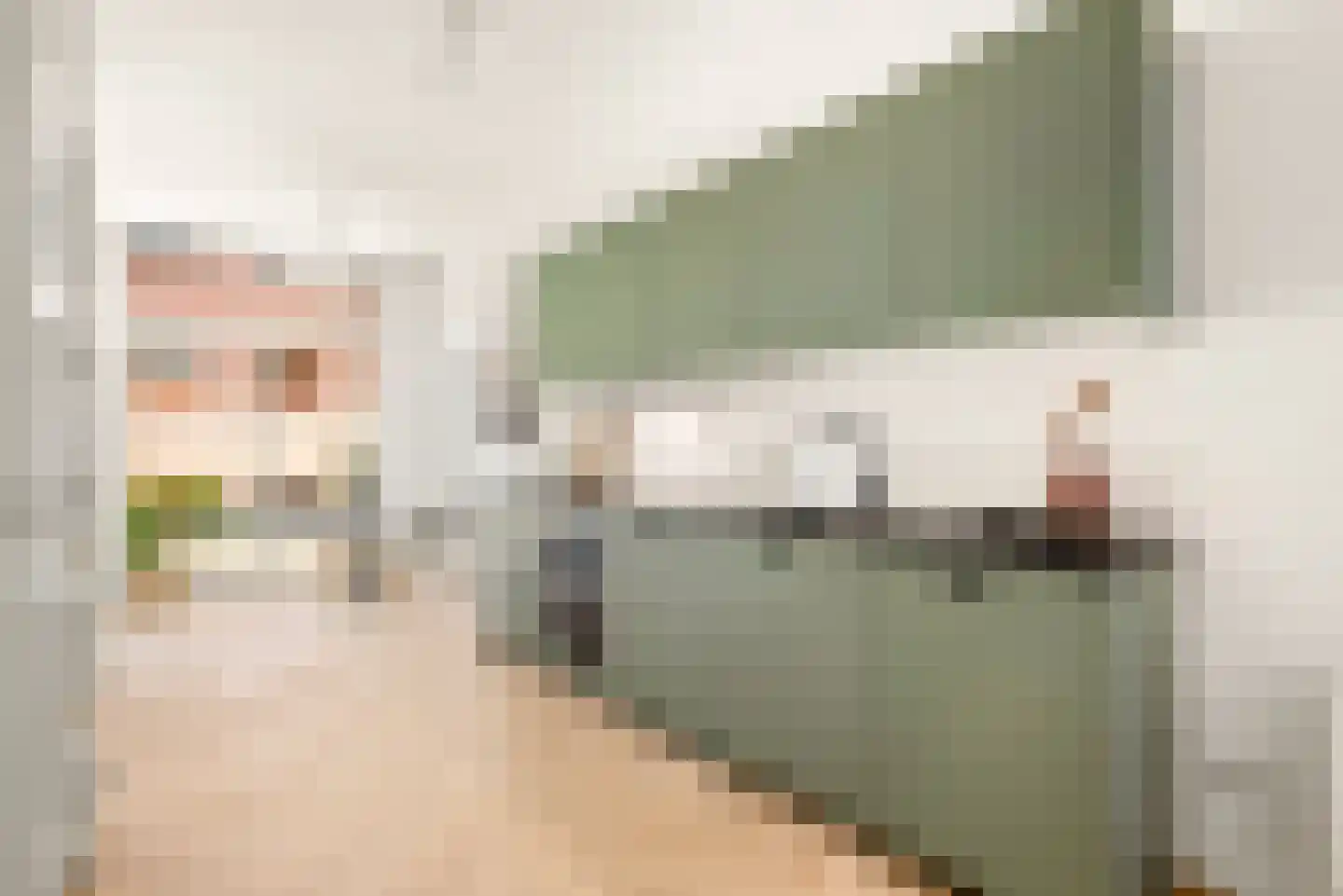 Wijde Geldelozepad 33 ZW Haarlem thumbnail 9