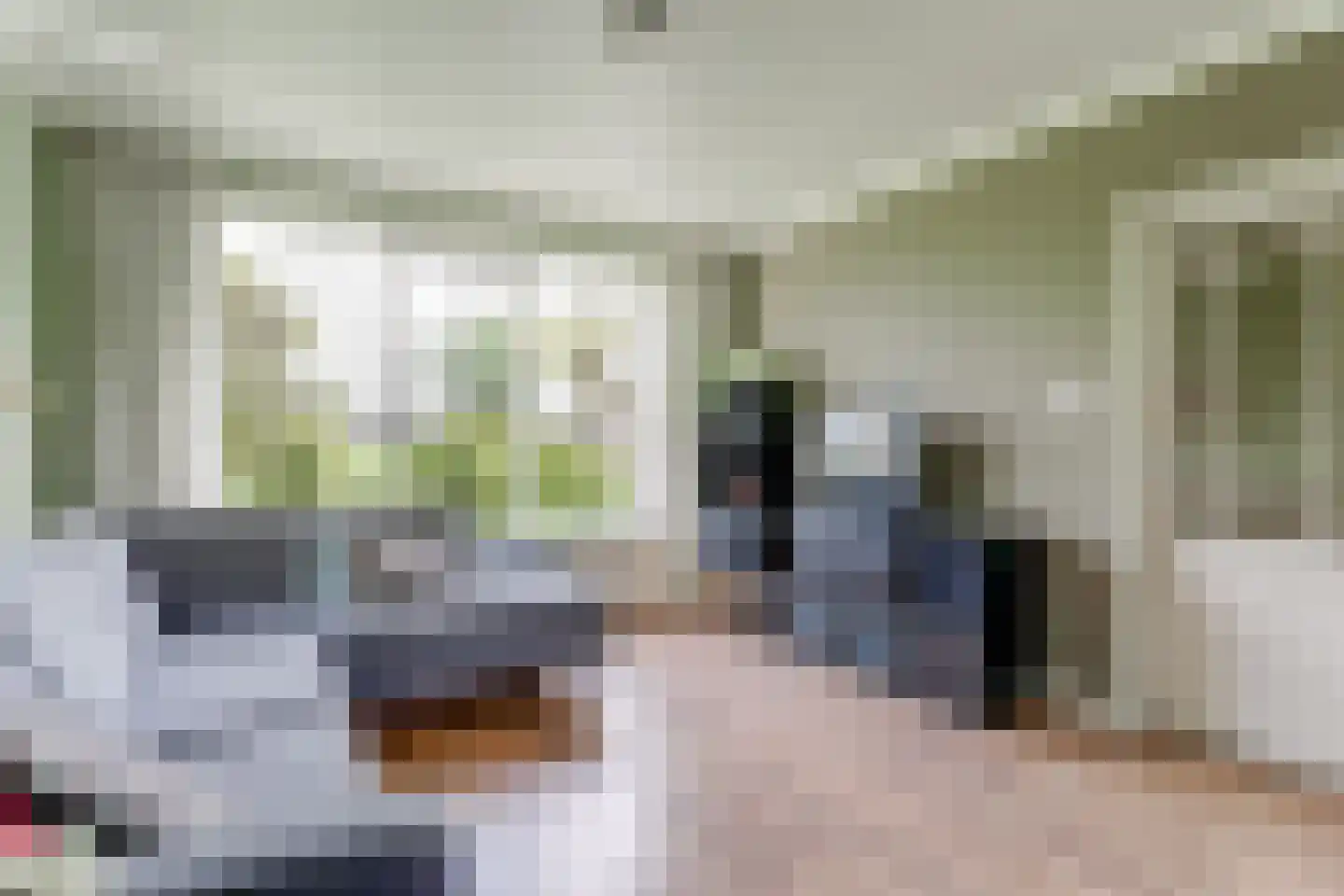 Wijde Klaver 4 Spanbroek thumbnail 13