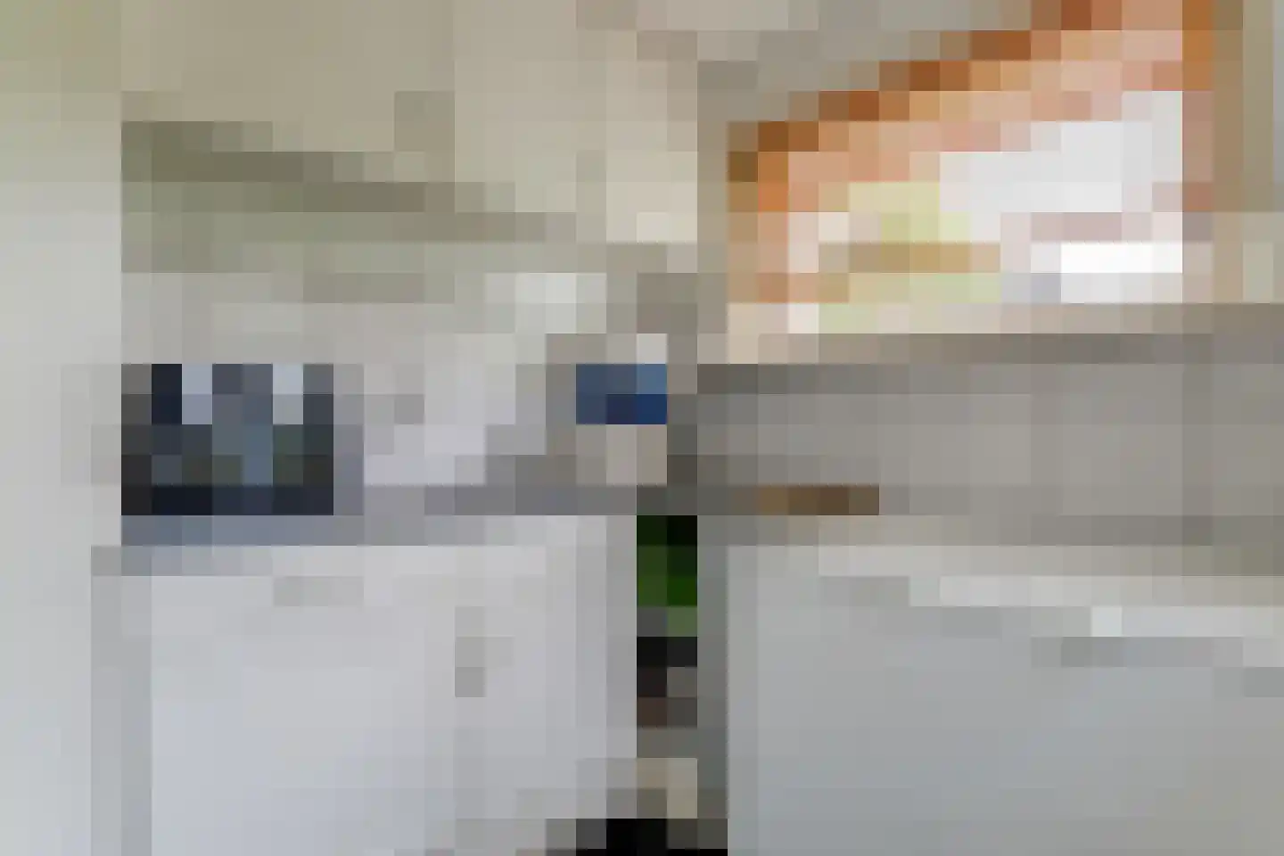 Wijde Klaver 4 Spanbroek thumbnail 18