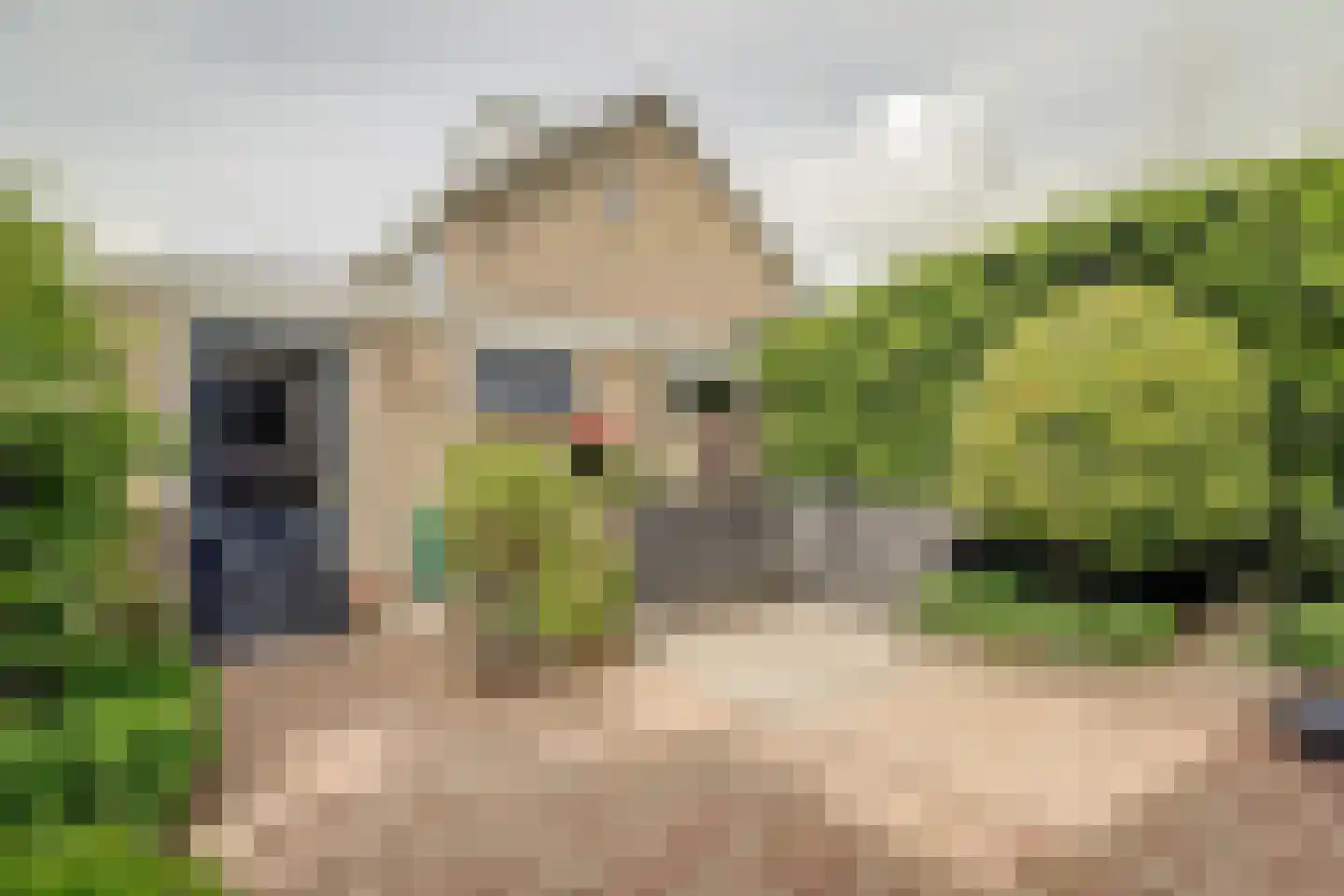 Wijde Klaver 4 Spanbroek foto 3