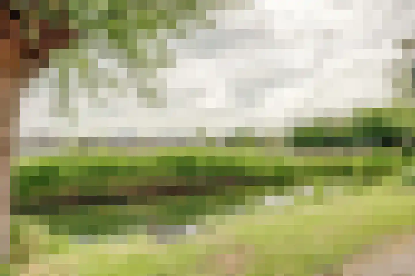 Wijde Klaver 4 Spanbroek thumbnail 4