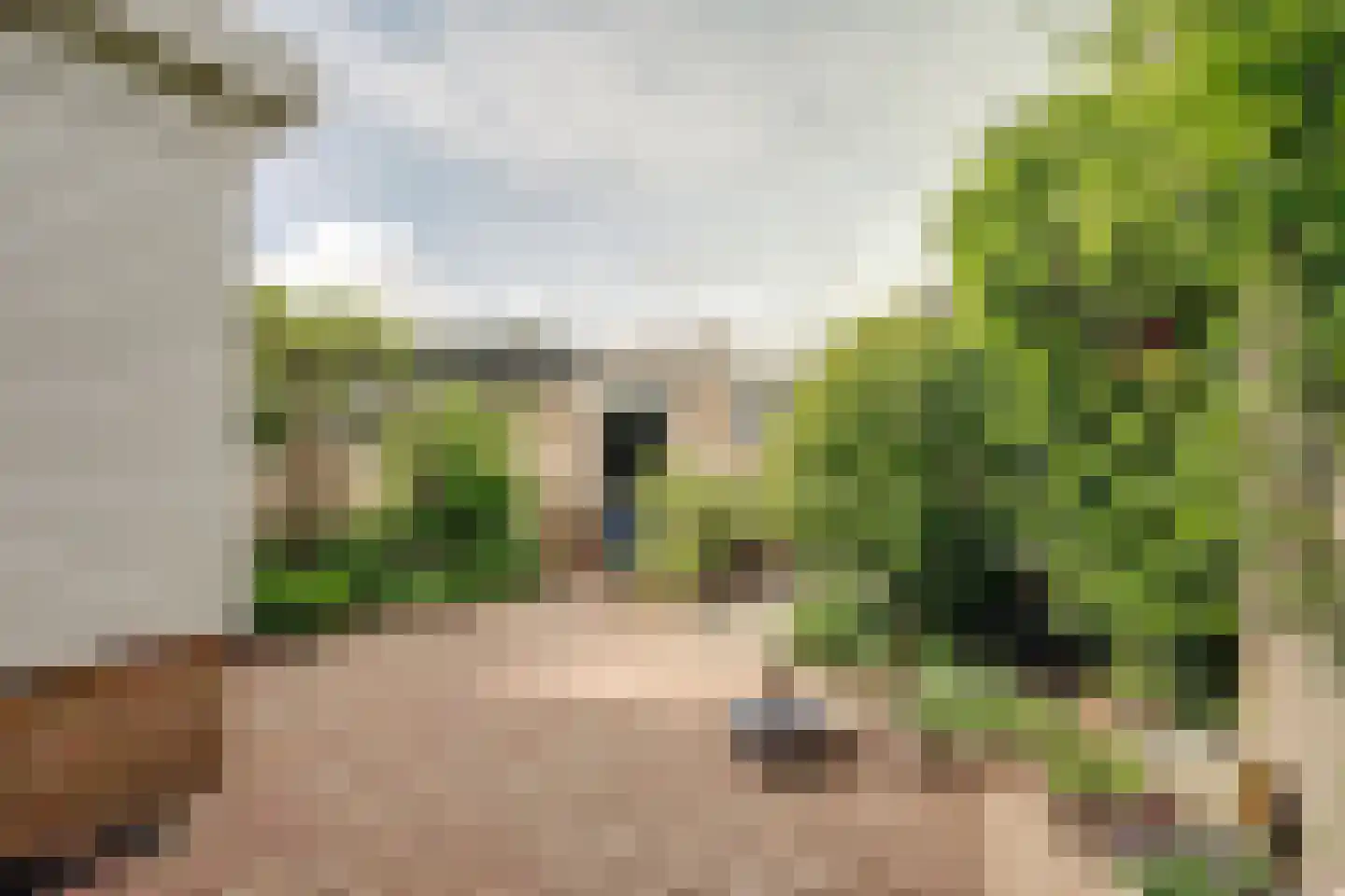 Wijde Klaver 4 Spanbroek thumbnail 5