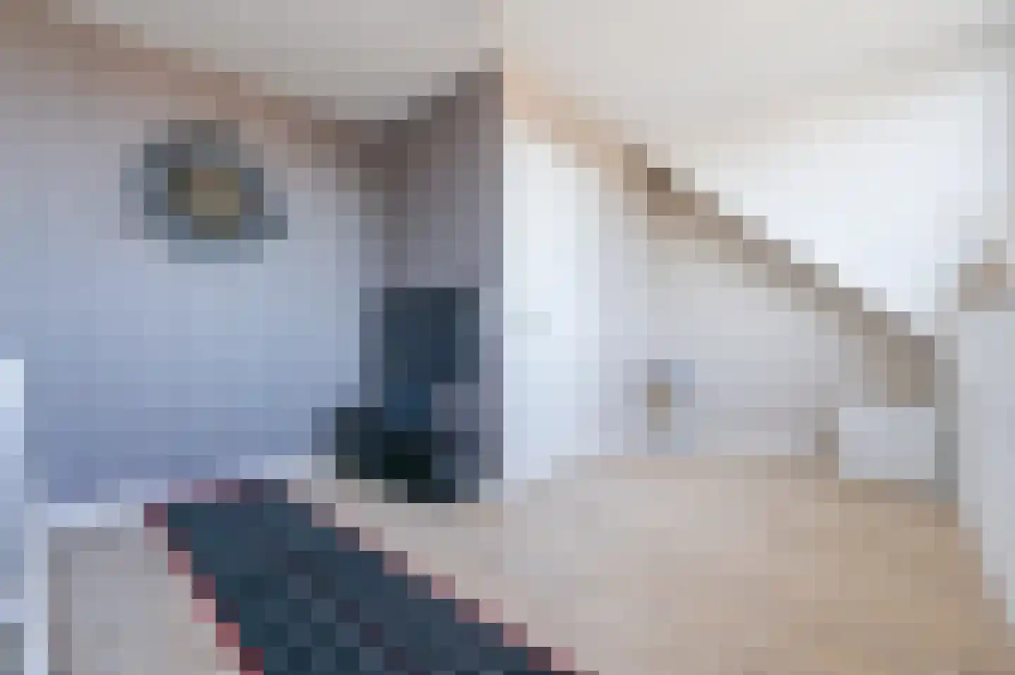 Wijde Mantel 10 Zeewolde thumbnail 29