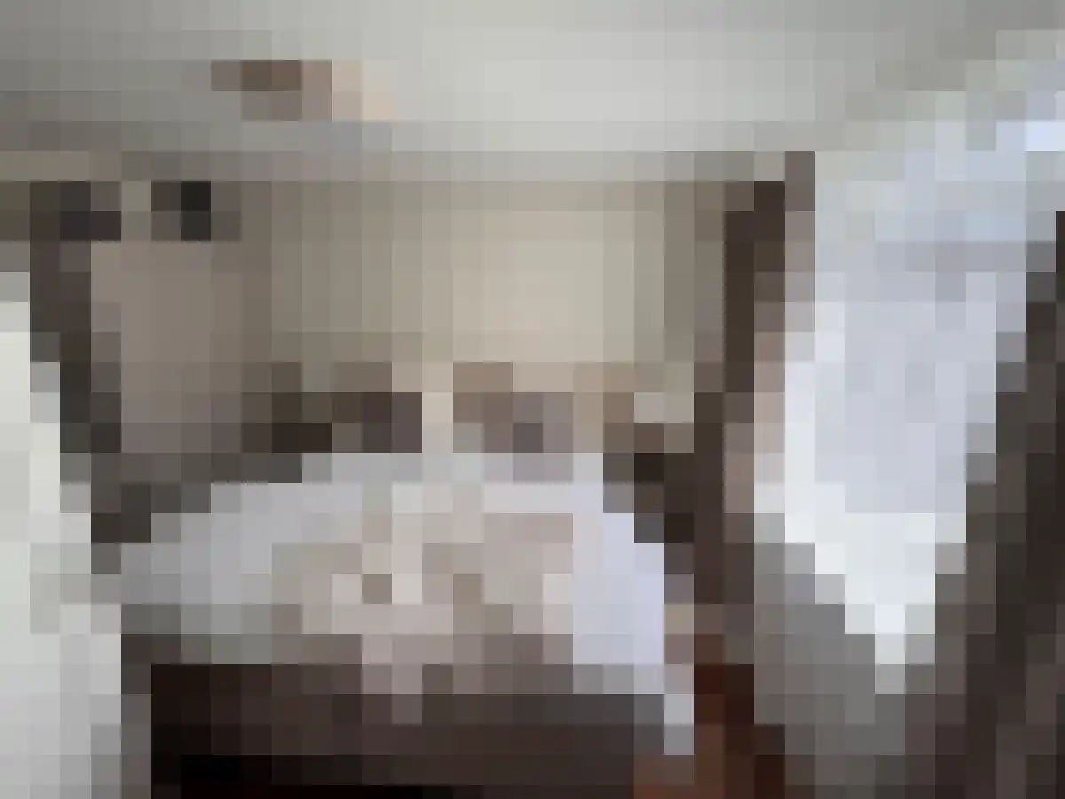 Wijde Noorderhorne 12 Sneek thumbnail 6