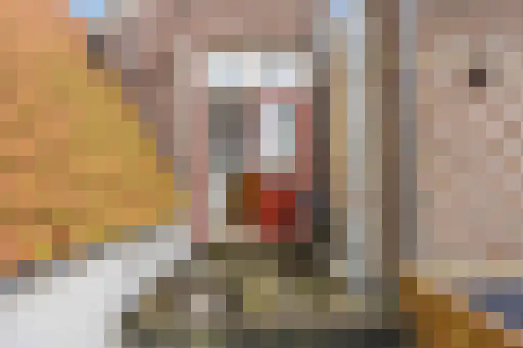 Wijde Noorderhorne 6 Sneek thumbnail 11