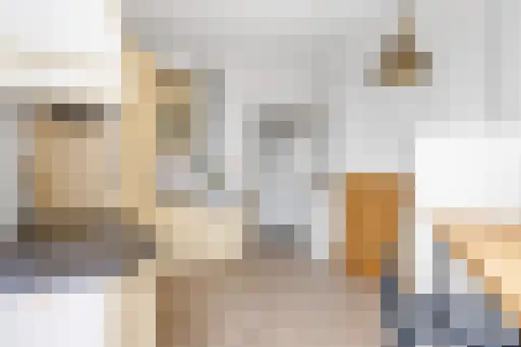 Wijde Noorderhorne 6 Sneek thumbnail 12