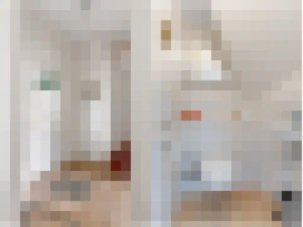 Wijde Noorderhorne 6 Sneek thumbnail 13