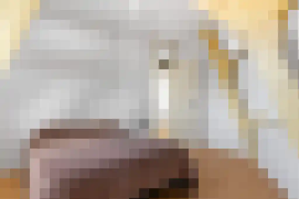 Wijde Noorderhorne 6 Sneek thumbnail 14