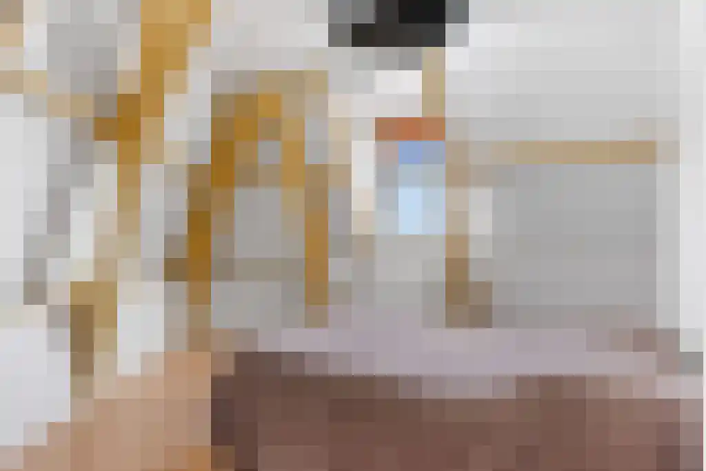 Wijde Noorderhorne 6 Sneek thumbnail 15