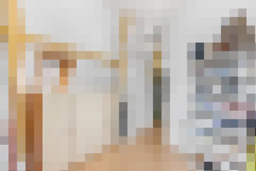 Wijde Noorderhorne 6 Sneek thumbnail 19