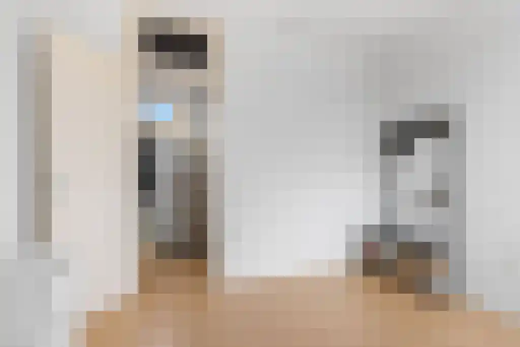 Wijde Noorderhorne 6 Sneek thumbnail 21